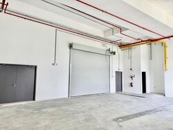 Ct Foodnex (D25), Factory #506199071